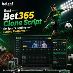 Best Bet365 Clone Script