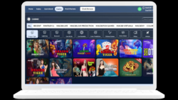 Online Casino Platform Provider
