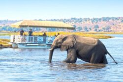 7 Day Safari in Botswana and Victoria Fall Adventure