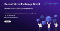 Why Decentralized Exchange Scripts Are Becoming Essential for Web3 Startups