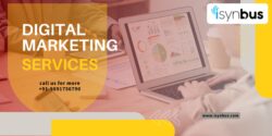Do Small Businesses Really Need Digital Marketing Services to Grow?