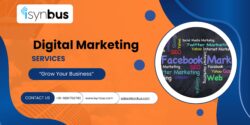 Are You Looking for a Reliable Digital Marketing Company?