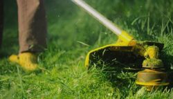 Lawn Mowing Randwick