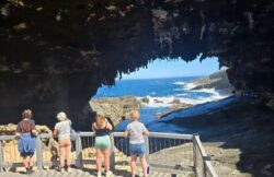 Kangaroo Island Day Tours