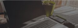Payroll Taxes