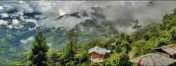 Complete North Bengal Tour Package from NJP 2026 by NatureWings Holidays Limited
