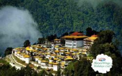 The Ultimate North East Tour Package: Discover the Hidden Gems of India