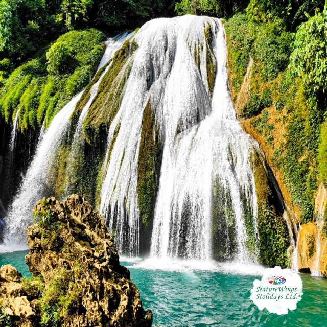 The Ultimate North East Tour Package: Discover the Hidden Gems of India