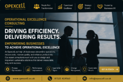 operational excellence consulting