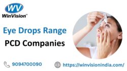 Premium Eye Care Franchise Solutions For Healthcare Entrepreneurs