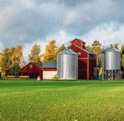 Partnering with the Right Professionals for Your Commercial Build