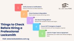 Things to Check Before Hiring a Professional Locksmith