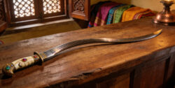 Urumi Flexible Sword Guide: History, Combat & Martial Arts Secrets