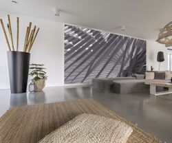 Creative Wall Graphics Muskegon to Transform Your Business Space