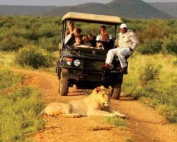 What is the cheapest way to do a Tanzania safari