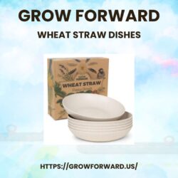 Wheat Straw Dishes