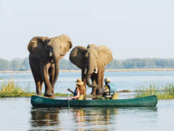 Why mokoro safari so unique on Botswana safaris