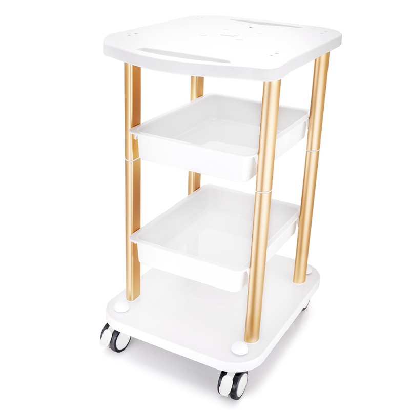 Best Salon Must-Have Equipment for Modern Beauty Businesses – Mychway US
