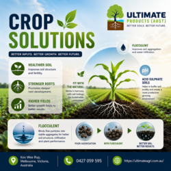Acid sulphate soils