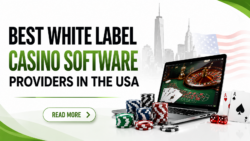 List of 10 Best White Label Casino Software Solution Providers in USA