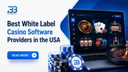Top 10+ White Label Casino Software Solution Providers in USA for 2026-27