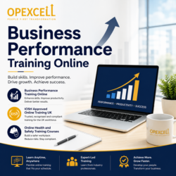 Business Performance Training Online