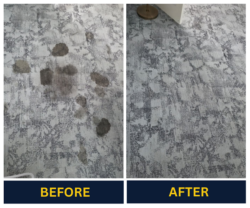 Professional Rug Cleaning in Adelaide