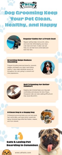 Dog Grooming Keep Your Pet Clean, Healthy, and Happy