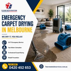 Emergency Carpet Drying in Melbourne | 24/7 Wet Carpet Restoration