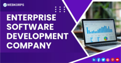 Enterprise Software Development Company