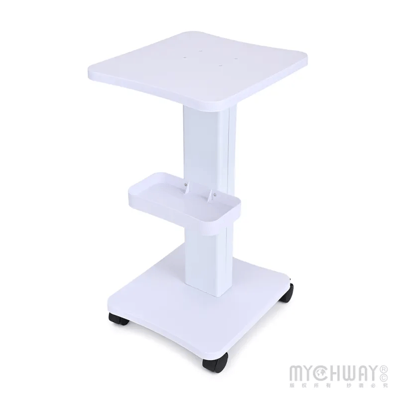 Best Salon Must-Have Equipment for Modern Beauty Businesses – Mychway US