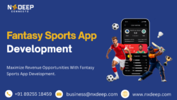 Elite Fantasy Sports Software Development Solutions Provider