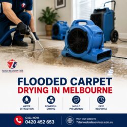 Flooded Carpet Drying in Melbourne | Emergency Carpet Restoration