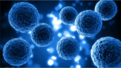 Does Mesenchymal Stem Cells ED Help Nerve Damage?