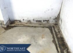 Emergency mold removal upstate NY
