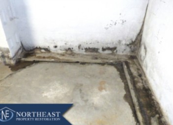 Emergency mold removal upstate NY