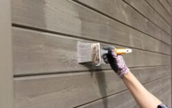 Painter Manly