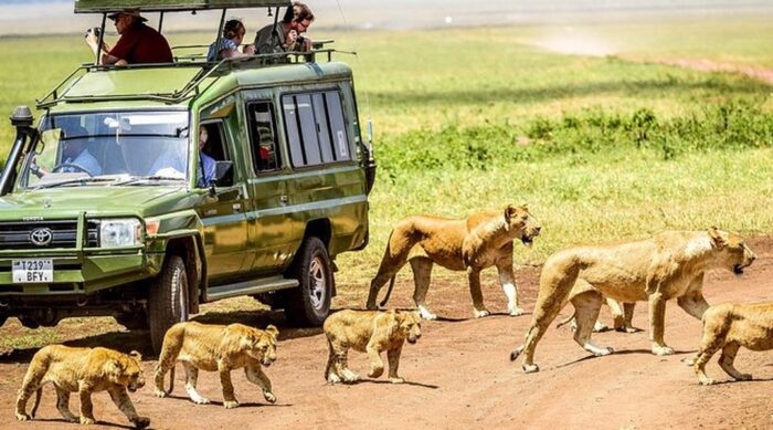 Best Tanzania Safaris Guide to Follow on a Trip