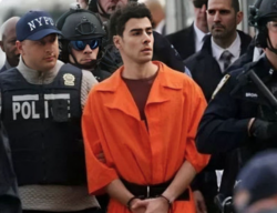 Free Luigi