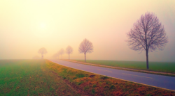 Best Travel Guide Websites