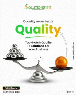 Professional Web Design & Development Services by Solutions1313