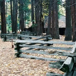 Why a Split Post Fence Is a Smart Choice for Property Owners