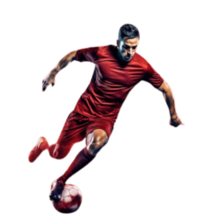 Sports Betting Software Provider