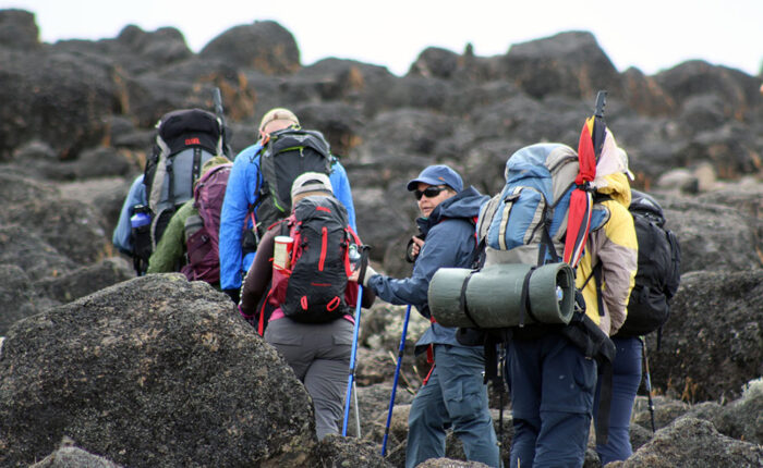 Best Mount Kilimanjaro Climbing Guides on Tour Safari Tanzania