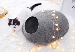 Creative Cat Bed – My Pet
