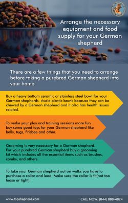 Arrange the necessary equipment and food supply for your German shepherd