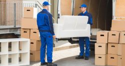 Removalists Burwood | Cheap Furniture & House Movers Burwood