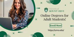 Options for Adults to Pursue Degree Online