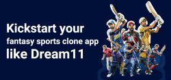 Fantasy Sports Tech – Dream11 Clone App Development Company