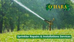 Sprinkler System Maintenance and Installation Services